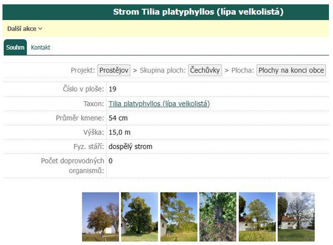 Naše Vrahovice